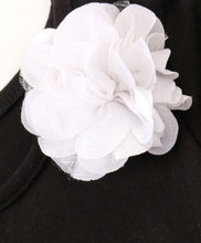 Load image into Gallery viewer, Solid Double Frilled Full Sleeves Dress
