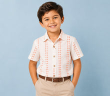 Load image into Gallery viewer, Cotton Woven Striped Half Sleeves Shirt