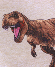 Load image into Gallery viewer, Dinosaur Printed Sweatshirt Jogger Set