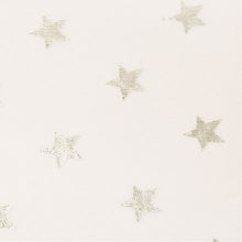 Load image into Gallery viewer, Silver Stars White Net Skirt