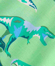 Load image into Gallery viewer, Dinosaur Printed Full Sleeves Tshirt