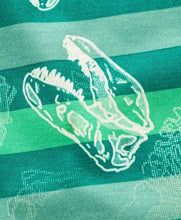 Load image into Gallery viewer, CrayonFlakes Soft and comfortable Dinosaur Striped Tshirt - Green