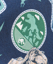 Load image into Gallery viewer, Dinosaur Printed Sweatshirt Jogger Set
